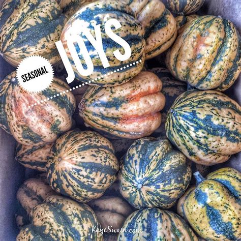 So fun to be seeing the different varieties of squash and gourds in ...