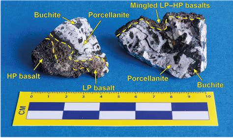 Two fragments of the composite B1 xenolith consisting of white ...