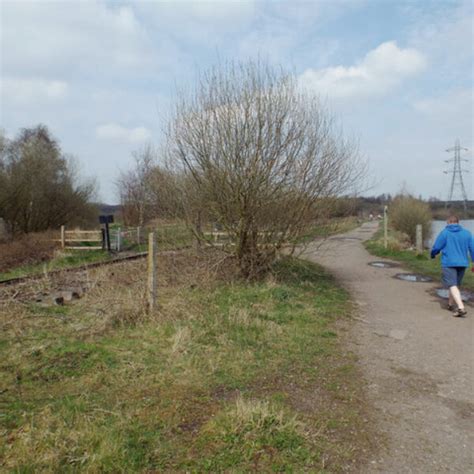 Dog walk at Chasewater Country Park · West Midlands · Walkiees