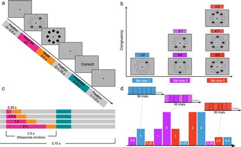 Schematic of the backward masking majority function task (MFT-M).: (a ...