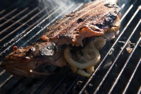 Barbecued Rainbow Trout Fillet Recipe | Dandk Organizer