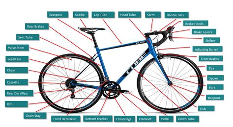 Bicycle Diagram Labeled Parts