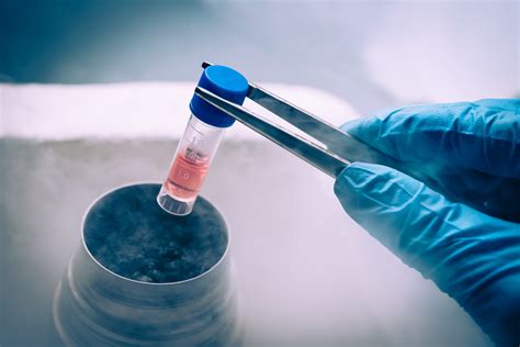 The Future of Cord Blood Research - Telomerix Stem Cell Biobank | Cord ...