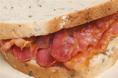 Crispy Bacon Sandwich stock photo. Image of sliced, macro - 17900548