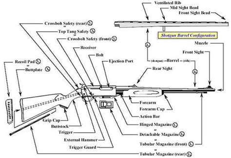 Pump Action Shotgun Diagram