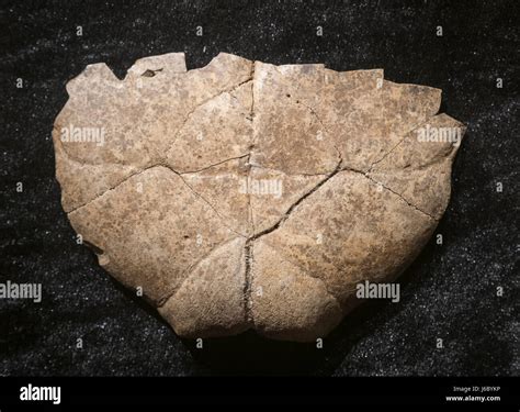 Shang oracle bones hi-res stock photography and images - Alamy