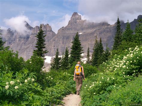 Iceberg Lake Trail | Glacier National Park, Montana | Mountain ...