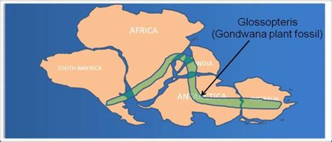 Continental Drift Theory of Alfred Lothar Wegener (1912) - Academistan