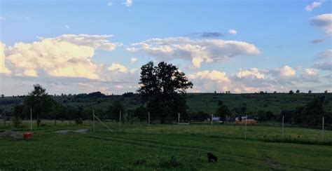 Life in the Romanian countryside: How I left Bucharest to build a house ...