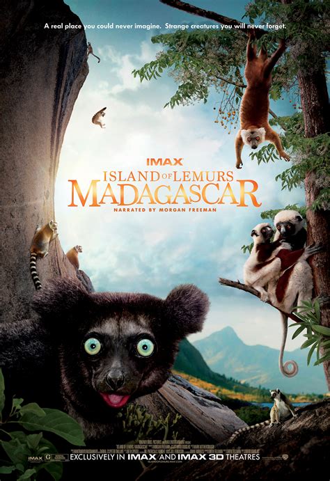 Island of Lemurs: Madagascar (2014)