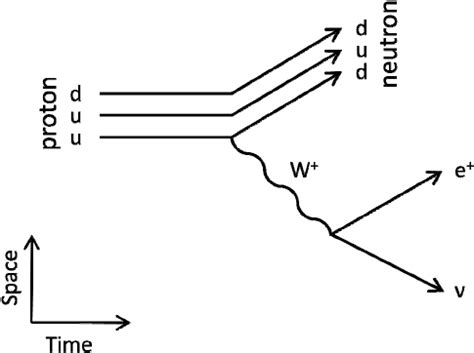 Feynman diagram of positron decay. Protons and neutrons are not elemen ...