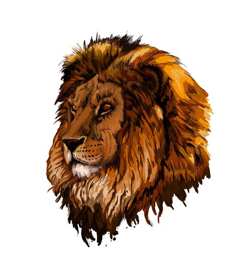 Lion head portrait from a splash of watercolor, colored drawing ...