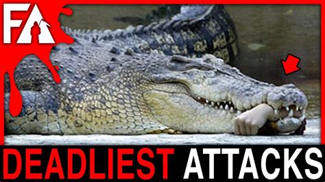 Deadliest Animal Attacks MARATHON! (Sharks, Bears, Crocodiles, Chimps ...