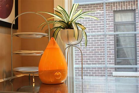 9 Stylish Humidifiers