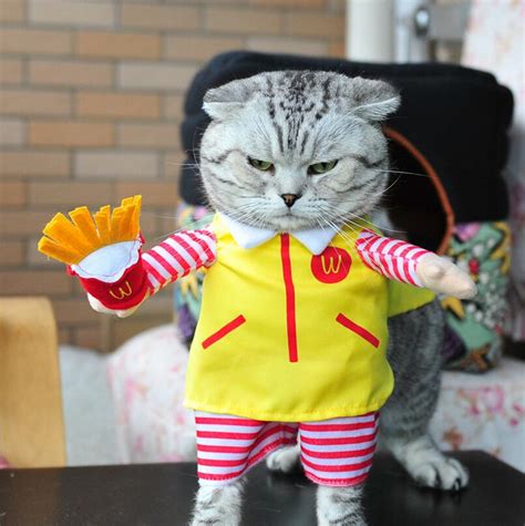 Cute Cat Halloween Costume - Fast Food Character Clothes – Cat Bonanza