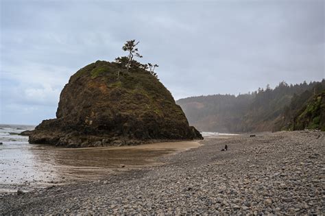 20 Amazing Things to do in Coos Bay, Oregon