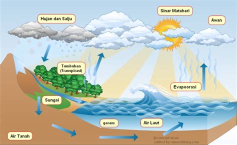 Bagaimana Terjadinya Awan, Ciri Awan, dan Jenis Awan, hingga Turun ...