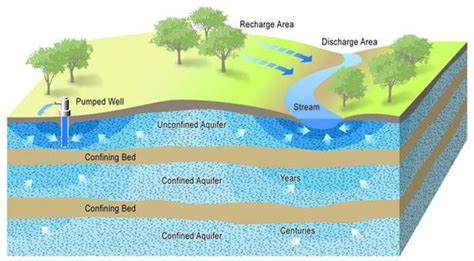 Unlabeled Aquifer Diagram