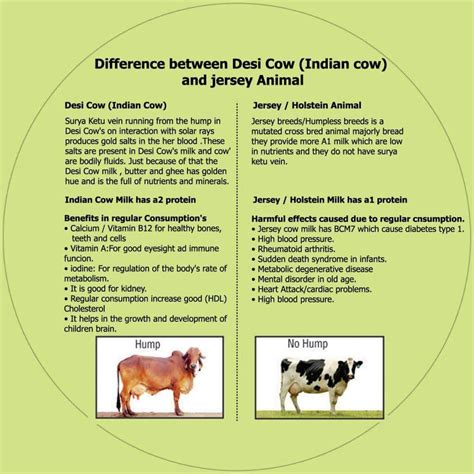 a1 vs a2 cows milk benefits side effects - Desi CowPedia.In