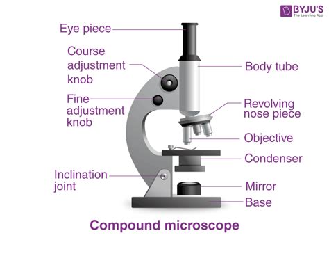 Types of Microscopes: Definition, Working Principle, Diagram ...