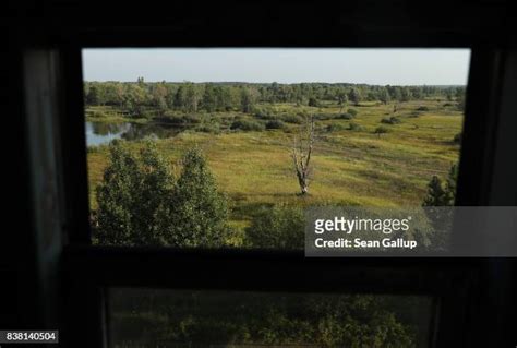 Pripyat Marshes Photos and Premium High Res Pictures - Getty Images