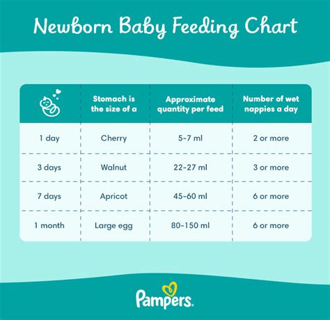 How Much Does A Newborn Eat At Each Feeding? - Nhaphangtrungquoc365.com