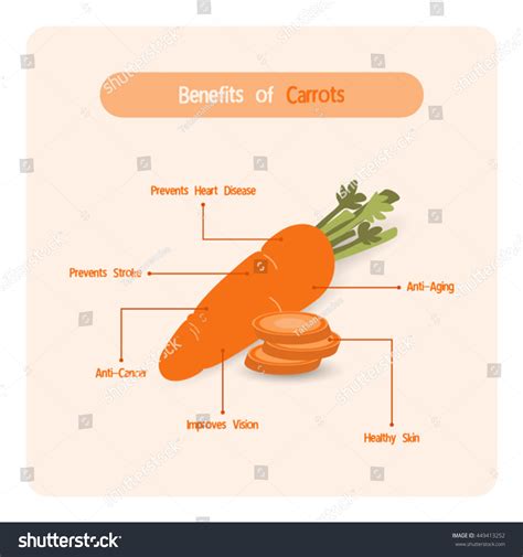 3,565 Benefits Carrots Images, Stock Photos & Vectors | Shutterstock