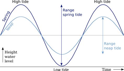 Spring And Neap Tide Diagram - Wiring Diagram Pictures