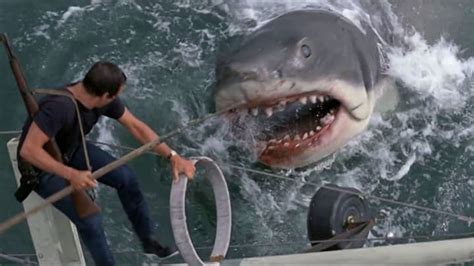 The Ending of 'Jaws' Changed Because of a Real Shark Encounter | Mental ...