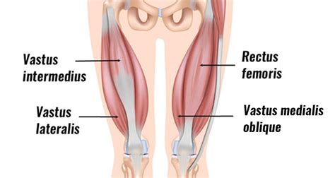 Vastus Medialis Muscle Exercises