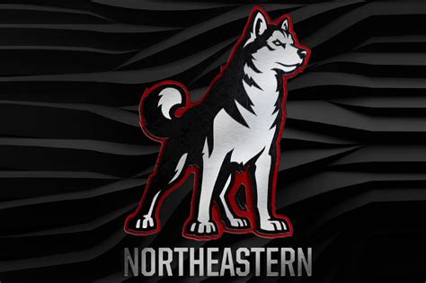 Northeastern unveils new athletics logos - Northeastern Global News