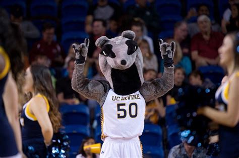 UCI News - The year that was | Irvine, Mascot, Too cool for school