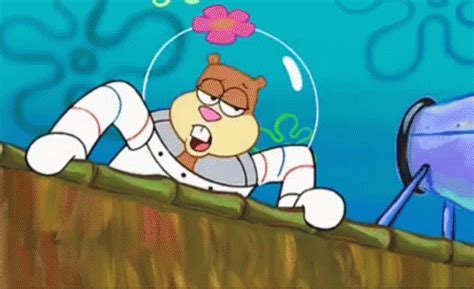 Sandy Cheeks Sponge Bob GIF – Sandy Cheeks Sponge Bob Underwater ...