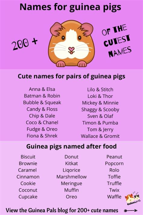 The Ultimate Guide To Enchanting Guinea Pig Names For Your Beloved Girl