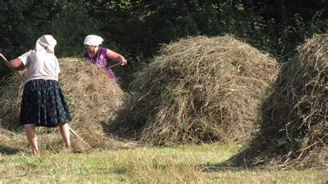 Hay making - YouTube