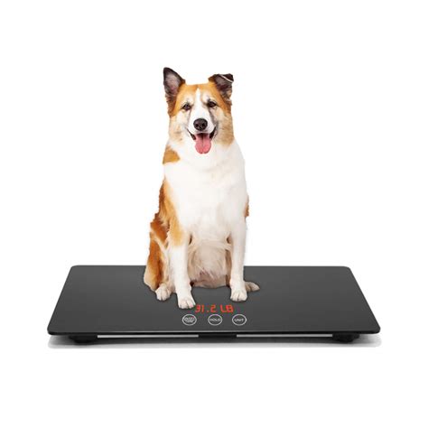 Buy Digital Pet Scale for Dogs, Animal Scale Platform, 3 Weighing Modes ...