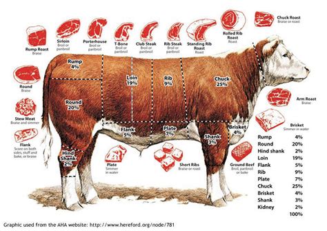 Cuts of beef and how to cook them | Northglen News