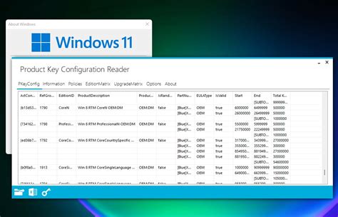 Windows 11 upgrade from windows 10 - gaifake