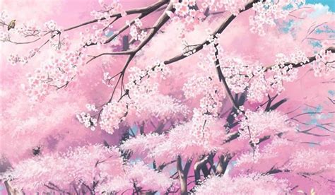 Beautiful Cherry Blossom Anime Wallpaper Phone - Mural Wall