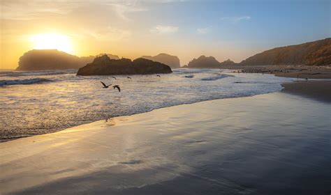 Loving Bandon Beach | Travel, Photograph, Experience