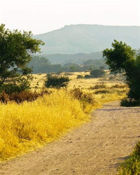 Los Peñasquitos Canyon Preserve, San Diego , California - Sports ...