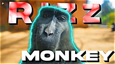 Monkey Rizz - YouTube