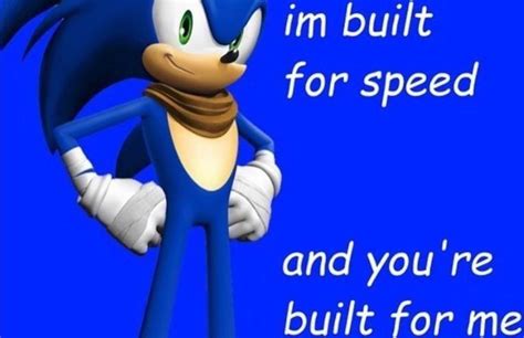 Pin on funni | Sonic funny, Sonic, Funny memes