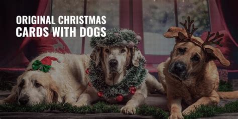 20 Original Christmas Cards With Dogs – Festive, Cute & Funny