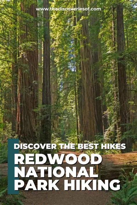 16 Best Hikes in Redwood National Park — The Discoveries Of