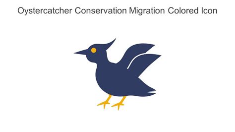 Oystercatcher Conservation Migration Colored Icon In Powerpoint Pptx ...