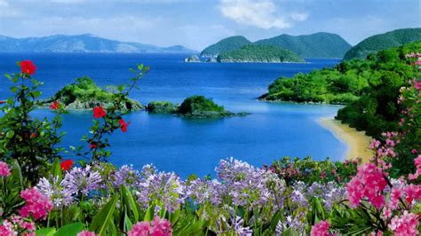 Beautiful Scenery Ocean View Mountains Rocks Plants Colorful Flowers HD ...