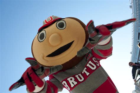 Ohio State Graduate Remembers Naming Mascot Brutus Buckeye Who Turns 50 ...