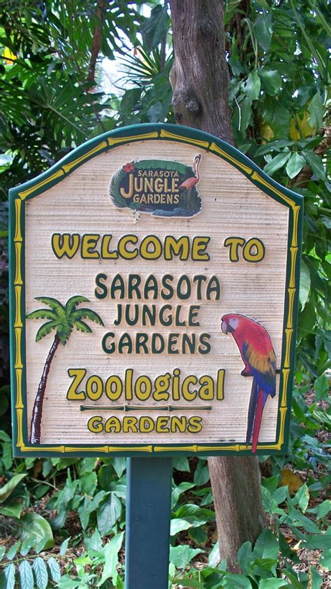 Jungle Gardens, Sarasota, Florida | Sarasota jungle gardens, Jungle ...