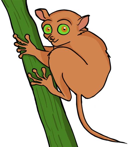 Tarsier clipart - Clipground